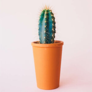 Home product 08