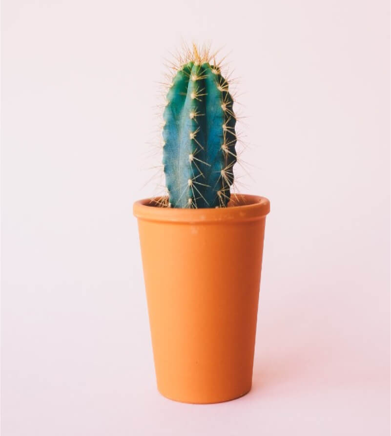 product-08 product 08